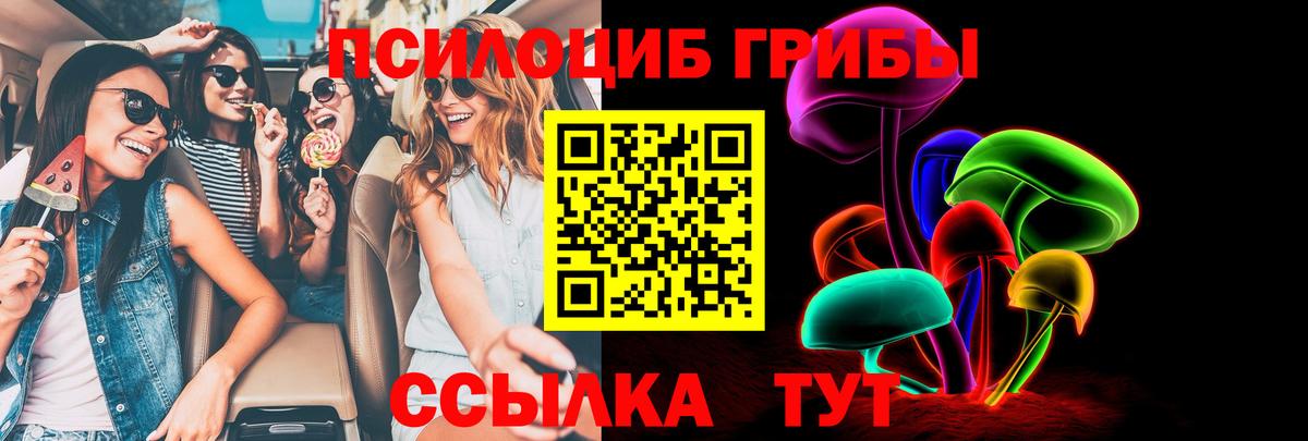 Псилоцибиновые грибы GOLDEN TEACHER Семёнов